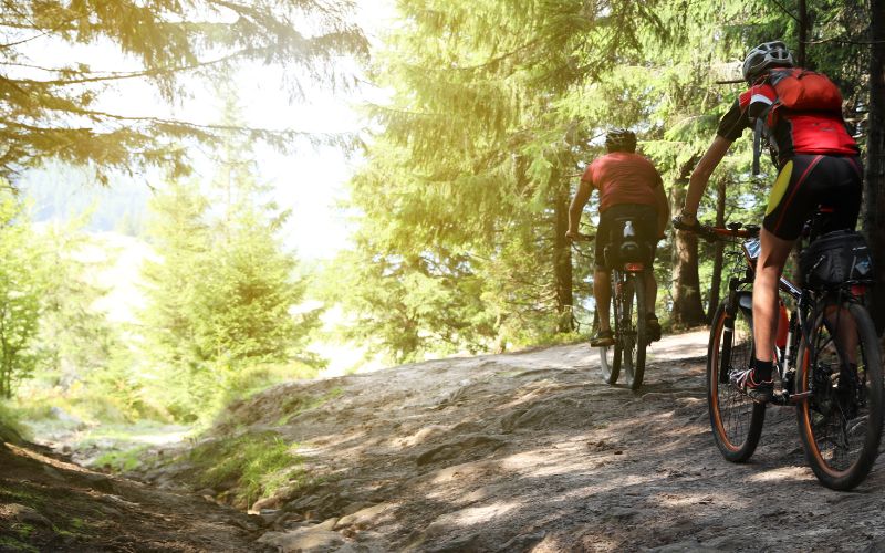 Activité à Autrans :  le VTT