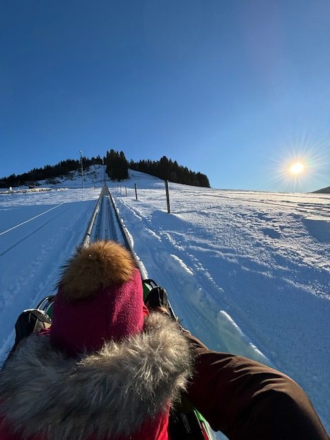 Speed luge sur neige à Méaudre Autrans